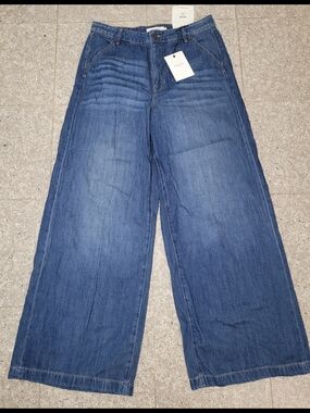 Hidden Jeans Nori High Rise Super Wide Leg Jeans Size 31